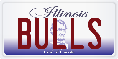 IL license plate BULLS