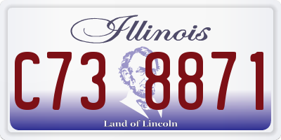 IL license plate C738871