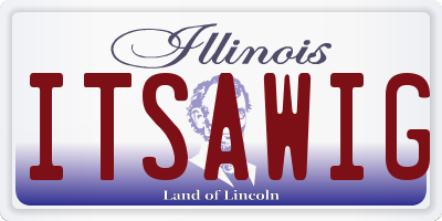 IL license plate ITSAWIG