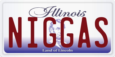 IL license plate NIGGAS