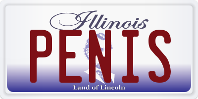 IL license plate PENIS