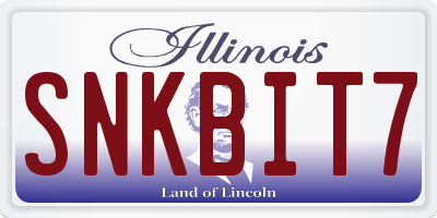 IL license plate SNKBIT7