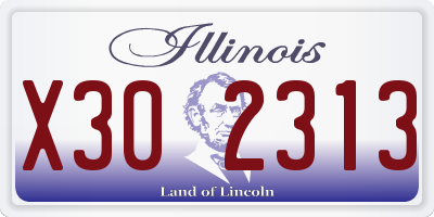 IL license plate X302313