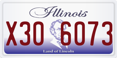 IL license plate X306073
