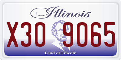 IL license plate X309065