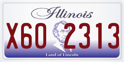 IL license plate X602313