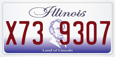 IL license plate X739307