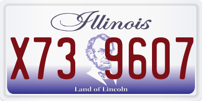 IL license plate X739607