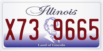 IL license plate X739665