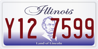 IL license plate Y127599