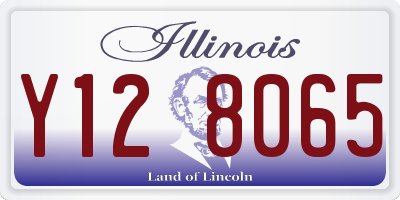 IL license plate Y128065