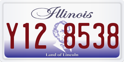 IL license plate Y128538
