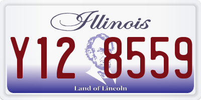 IL license plate Y128559