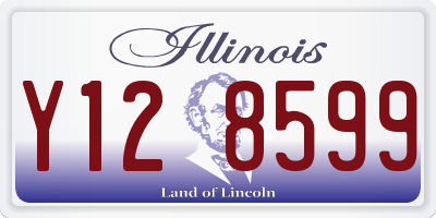 IL license plate Y128599