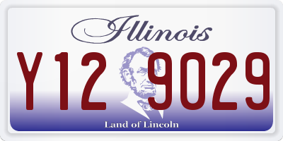 IL license plate Y129029