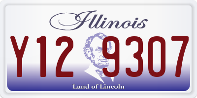 IL license plate Y129307