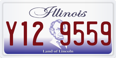 IL license plate Y129559