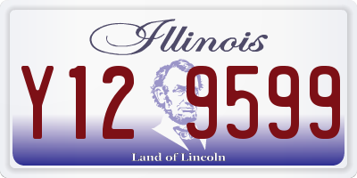 IL license plate Y129599