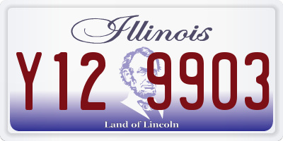 IL license plate Y129903