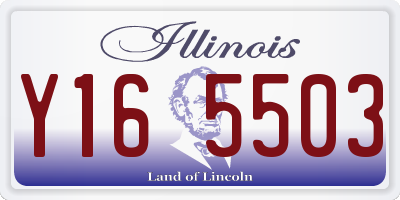 IL license plate Y165503