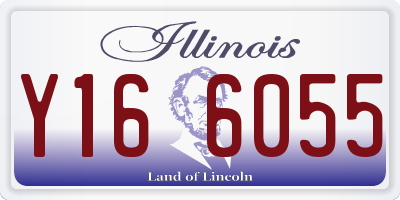 IL license plate Y166055