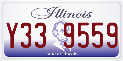 IL license plate Y339559