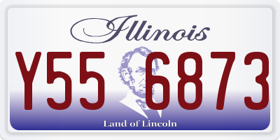 IL license plate Y556873