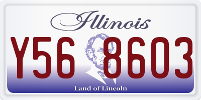 IL license plate Y568603