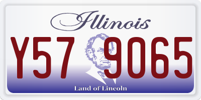 IL license plate Y579065