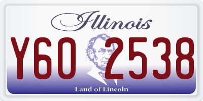 IL license plate Y602538