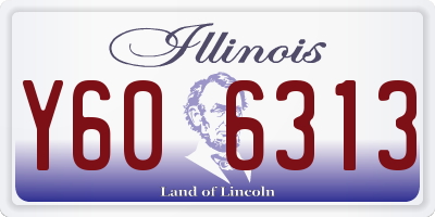 IL license plate Y606313