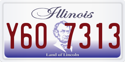 IL license plate Y607313