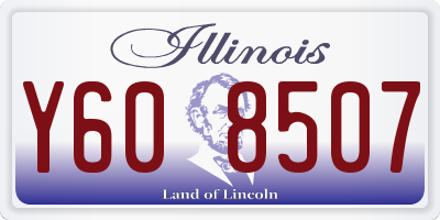 IL license plate Y608507