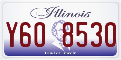 IL license plate Y608530