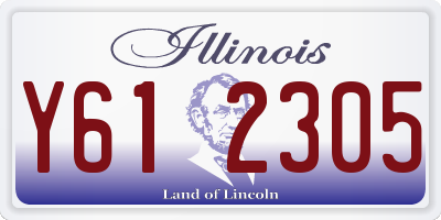 IL license plate Y612305