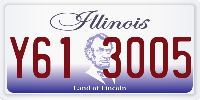 IL license plate Y613005