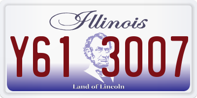 IL license plate Y613007