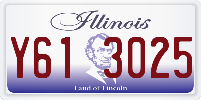 IL license plate Y613025