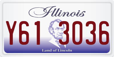 IL license plate Y613036