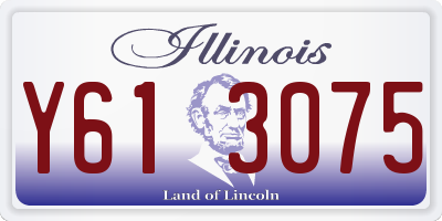 IL license plate Y613075