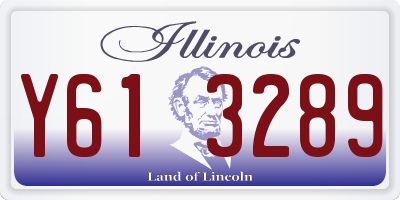 IL license plate Y613289