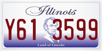 IL license plate Y613599
