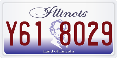 IL license plate Y618029