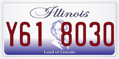 IL license plate Y618030