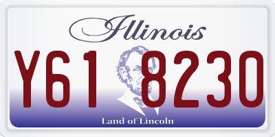 IL license plate Y618230