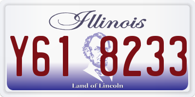 IL license plate Y618233