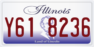 IL license plate Y618236