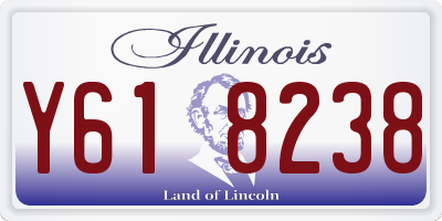 IL license plate Y618238