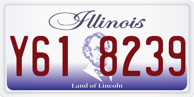 IL license plate Y618239