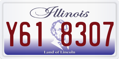 IL license plate Y618307